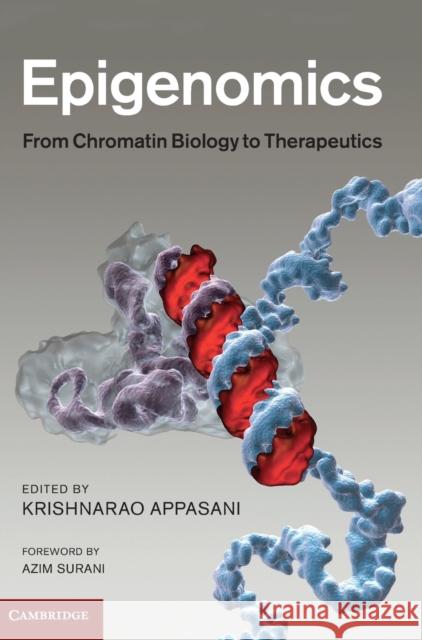 Epigenomics: From Chromatin Biology to Therapeutics Appasani, Krishnarao 9781107003828  - książka