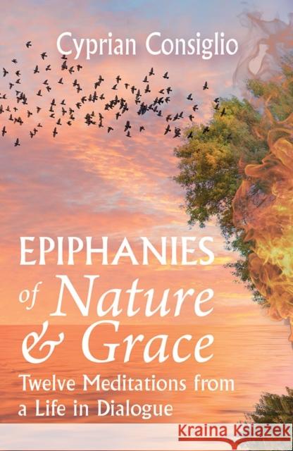 Epiphanies of Nature and Grace: Twelve Meditations from a Life in Dialogue Cyprian Consiglio 9781626986237 Orbis Books - książka