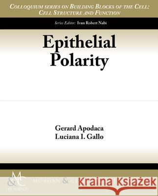 Epithelial Polarity Gerard Apodaca Luciana I. Gallo 9781615043989 Biota Publishing - książka