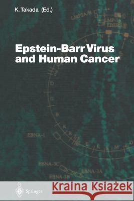 Epstein-Barr Virus and Human Cancer K. Takada 9783642625688 Springer-Verlag Berlin and Heidelberg GmbH &  - książka