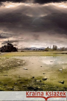 Equilibre Cedric Lehodey 9798507583782 Independently Published - książka