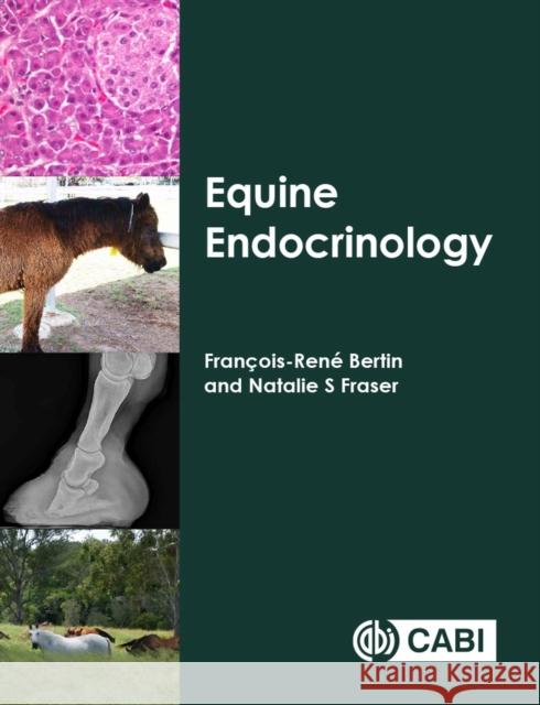 Equine Endocrinology Fran Bertin Natalie S. Fraser 9781789241099 CABI Publishing - książka