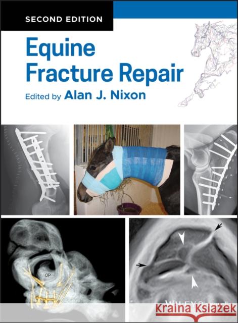 Equine Fracture Repair Alan J. Nixon 9780813815862 John Wiley and Sons Ltd - książka