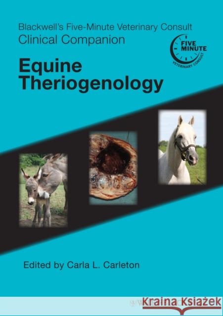 Equine Theriogenology Carleton, Carla L. 9780781776707  - książka