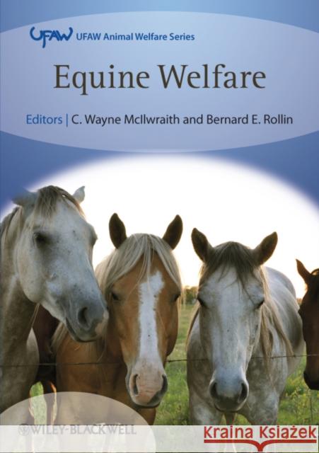 Equine Welfare C Wayne McIlwraith 9781405187633  - książka