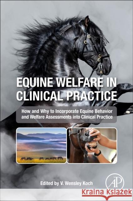 Equine Welfare in Clinical Practice Virginia Wensley Koch 9780323995085 Academic Press - książka