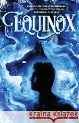 Equinox Brittany Weisrock 9781737767916 Lake Country Press & Review - książka