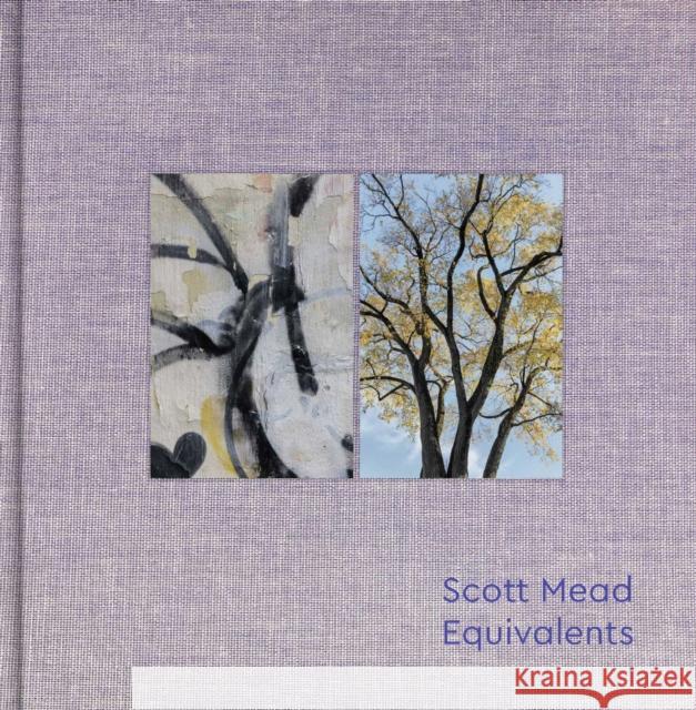 Equivalents: Scott Mead Scott Mead 9783791386553 Prestel - książka