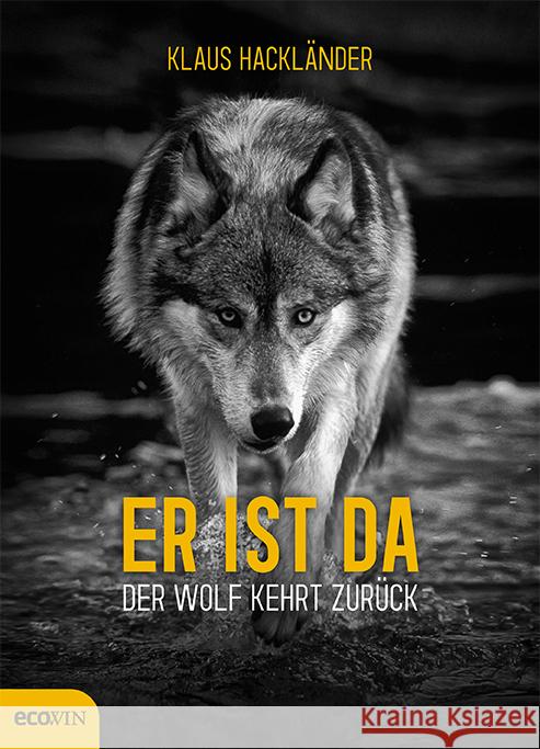 Er ist da : Der Wolf kehrt zurück Hackländer, Klaus 9783711002587 Ecowin Verlag - książka
