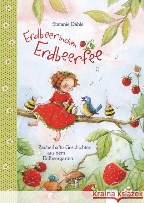 Erdbeerinchen Erdbeerfee : Zauberhafte Geschichten aus dem Erdbeergarten Dahle, Stefanie 9783401703947 Arena - książka