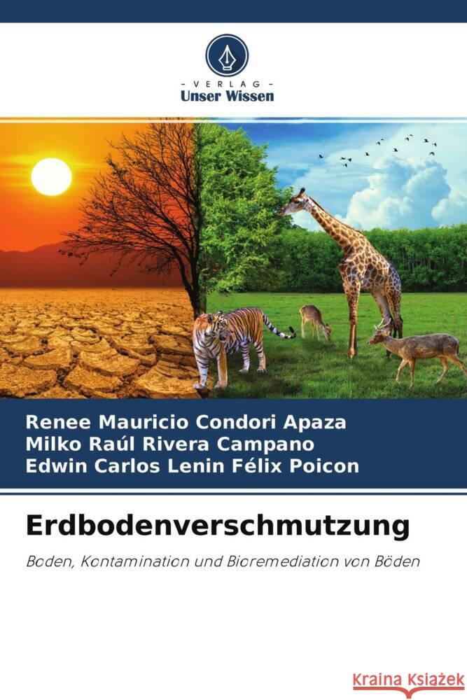 Erdbodenverschmutzung Condori Apaza, Renee Mauricio, Rivera Campano, Milko Raúl, FELIX POICON, EDWIN CARLOS LENIN 9786204664576 Verlag Unser Wissen - książka