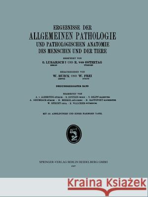 Ergebnisse Der Allgemeinen Pathologie Und Pathologischen Anatomie Des Menschen Und Der Tiere Hueck, W. 9783662333631 J.F. Bergmann-Verlag - książka