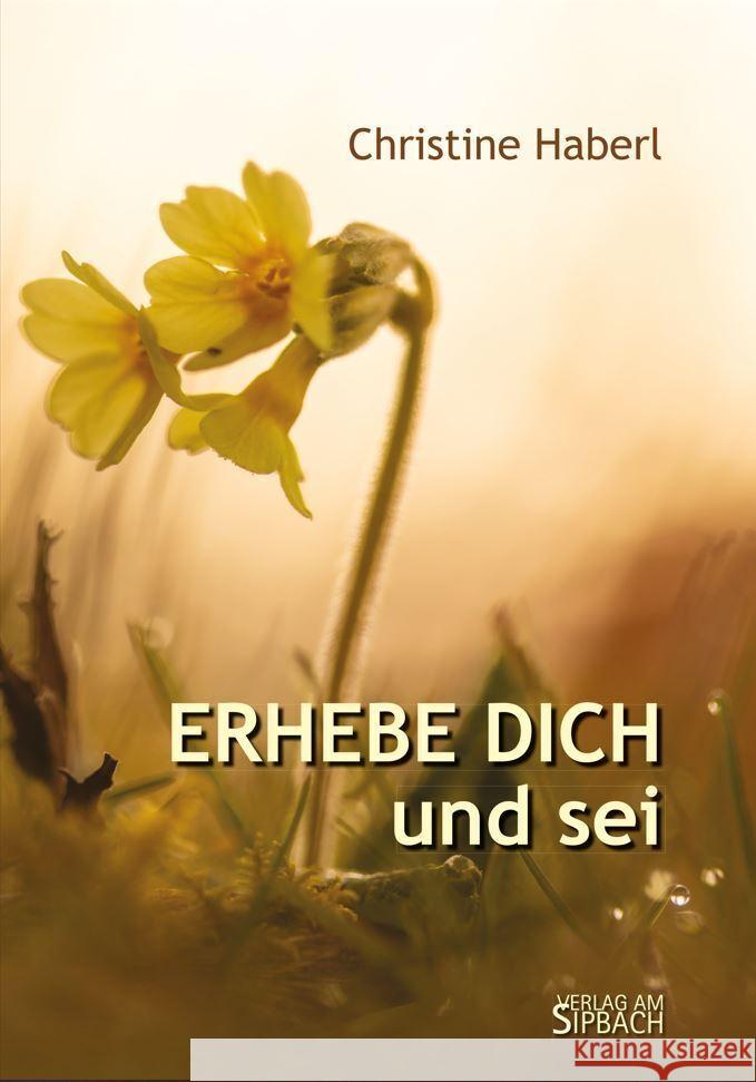ERHEBE DICH und sei Haberl, Christine 9783903259461 Verlag am Rande e.U. - książka