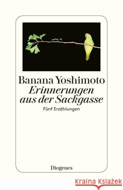 Erinnerungen aus der Sackgasse : Fünf Erzählungen Yoshimoto, Banana 9783257300567 Diogenes - książka