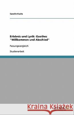 Erlebnis und Lyrik: Goethes 