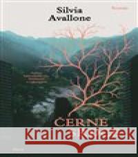 Černé srdce Silvia Avallone 9788027525874 Host - książka