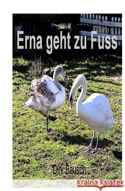 Erna geht zu Fuss Bausch, Dirk 9783745014853 epubli - książka