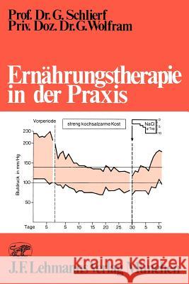 Ernährungstherapie in Der Praxis Schlierf, G. 9783540797890 Not Avail - książka