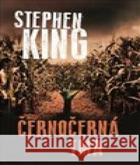 Černočerná tma Stephen King 9788075935106 Pavel Dobrovský - Beta - książka