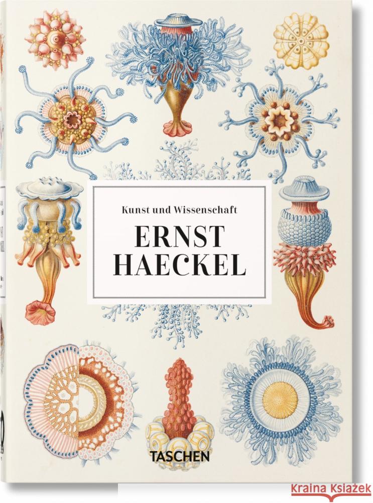 Ernst Haeckel - 40th Anniversary Edition Haeckel, Ernst; Willmann, Rainer; Voss, Julia 9783836584265 Taschen Verlag - książka