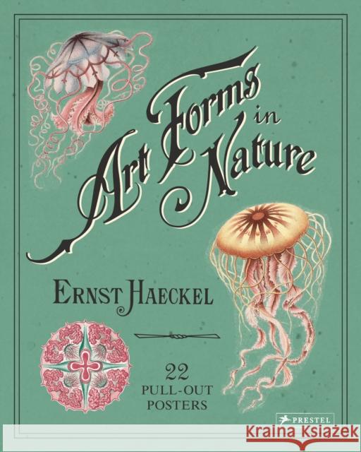 Ernst Haeckel: Art Forms in Nature: 22 Pull-Out Posters ,Ernst Haeckel 9783791382630 Prestel - książka