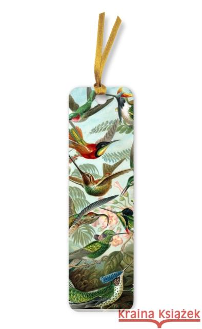 Ernst Haeckel: Hummingbirds Bookmarks (pack of 10)  9781804175484 Flame Tree Publishing - książka