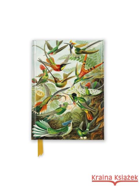 Ernst Haeckel: Hummingbirds (Foiled Pocket Journal) Flame Tree Studio 9781835625804 Flame Tree Gift - książka