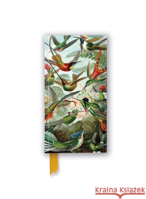 Ernst Haeckel: Hummingbirds (Foiled Slimline Journal) Flame Tree Studio 9781804179161 Flame Tree Publishing - książka