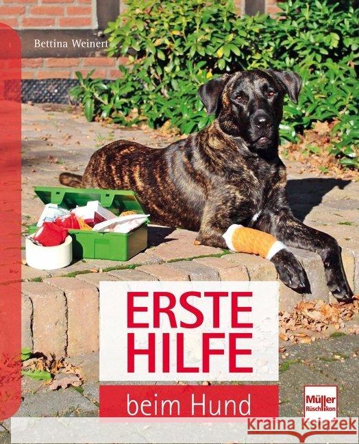 Erste Hilfe am Hund Steiger, Susanne C. 9783275021260 Müller Rüschlikon - książka