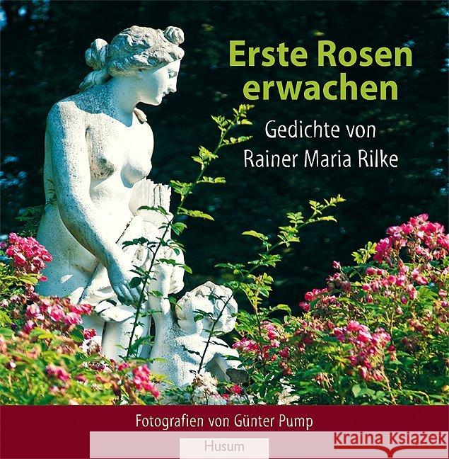 Erste Rosen erwachen : Gedichte von Rainer Maria Rilke Rilke, Rainer M. 9783898766159 Husum - książka