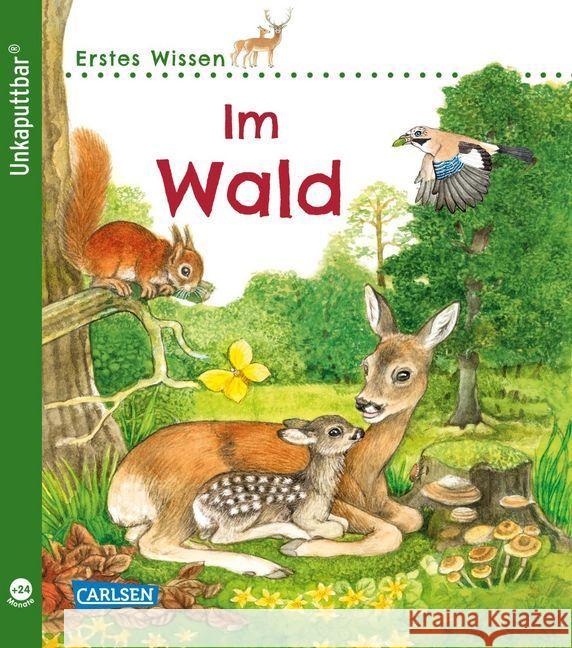 Erstes Wissen: Im Wald Klose, Petra 9783551036087 Carlsen - książka