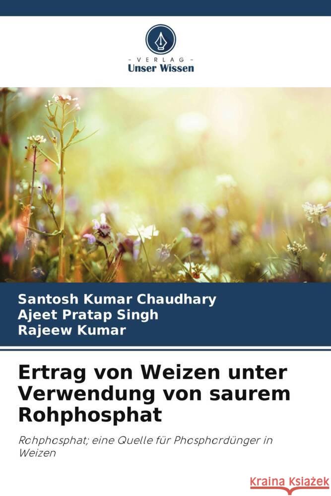 Ertrag von Weizen unter Verwendung von saurem Rohphosphat Chaudhary, Santosh Kumar, Singh, Ajeet Pratap, Kumar, Rajeew 9786208326296 Verlag Unser Wissen - książka