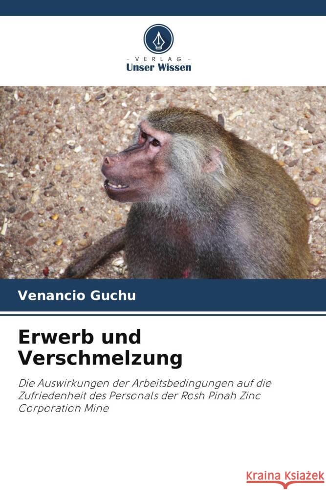 Erwerb und Verschmelzung Guchu, Venancio 9786204916903 Verlag Unser Wissen - książka