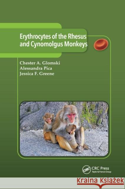 Erythrocytes of the Rhesus and Cynomolgus Monkeys Chester A. Glomski Alessandra Pica Jessica F. Greene 9780367377038 CRC Press - książka