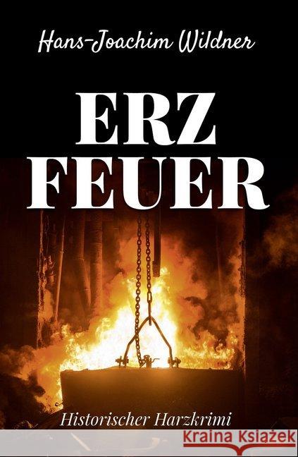 Erzfeuer : Historischer Harzkrimi Wildner, Hans-Joachim 9783947167210 EPV - książka