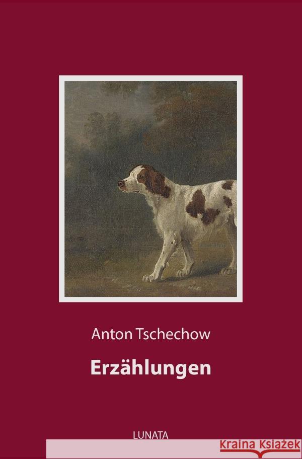 Erzählungen Tschechow, Anton Pawlowitsch 9783753126937 epubli - książka