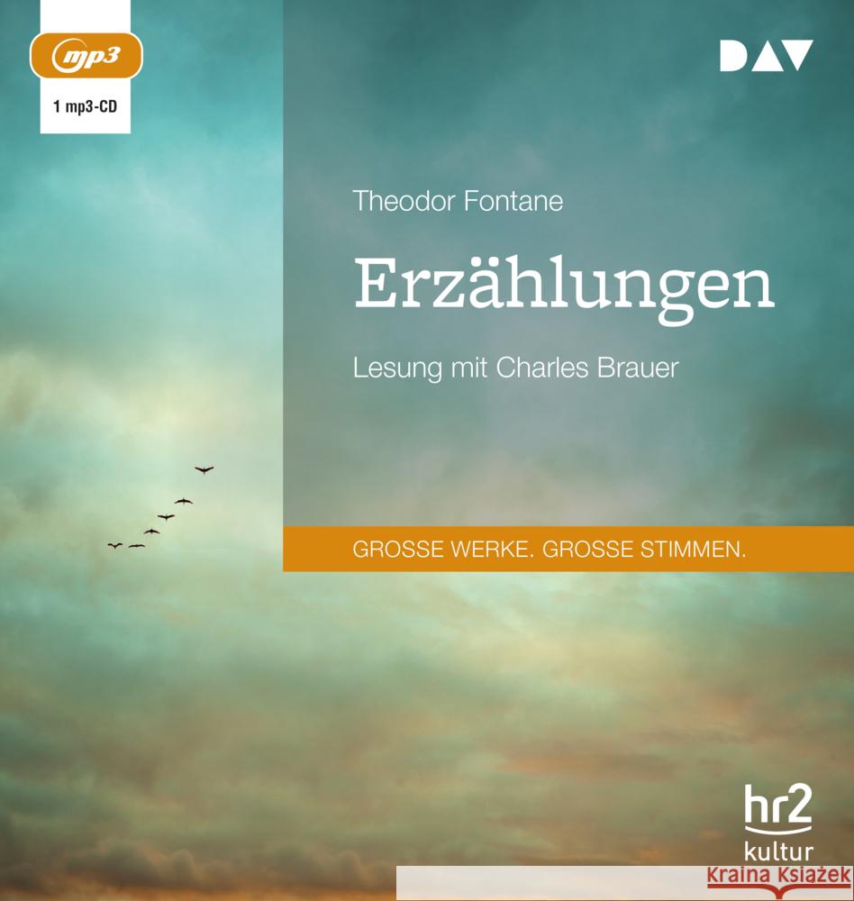 Erzählungen, 1 Audio-CD, 1 MP3 Fontane, Theodor 9783742423375 Der Audio Verlag, DAV - książka