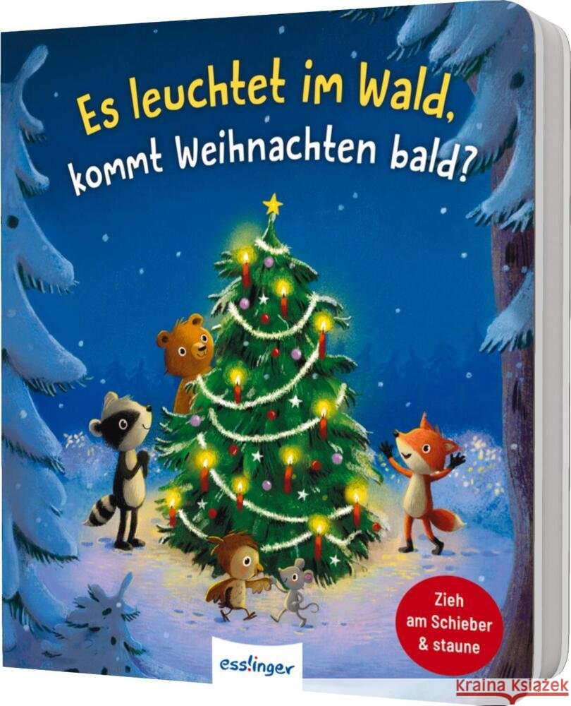 Es leuchtet im Wald, kommt Weihnachten bald? Kiel, Anja 9783480239849 Esslinger in der Thienemann-Esslinger Verlag  - książka