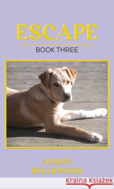 Escape Alison Bellringer 9781035873708 Austin Macauley - książka