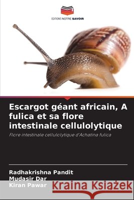 Escargot géant africain, A fulica et sa flore intestinale cellulolytique Pandit, Radhakrishna, Dar, Mudasir, Pawar, Kiran 9786209409707 Editions Notre Savoir - książka