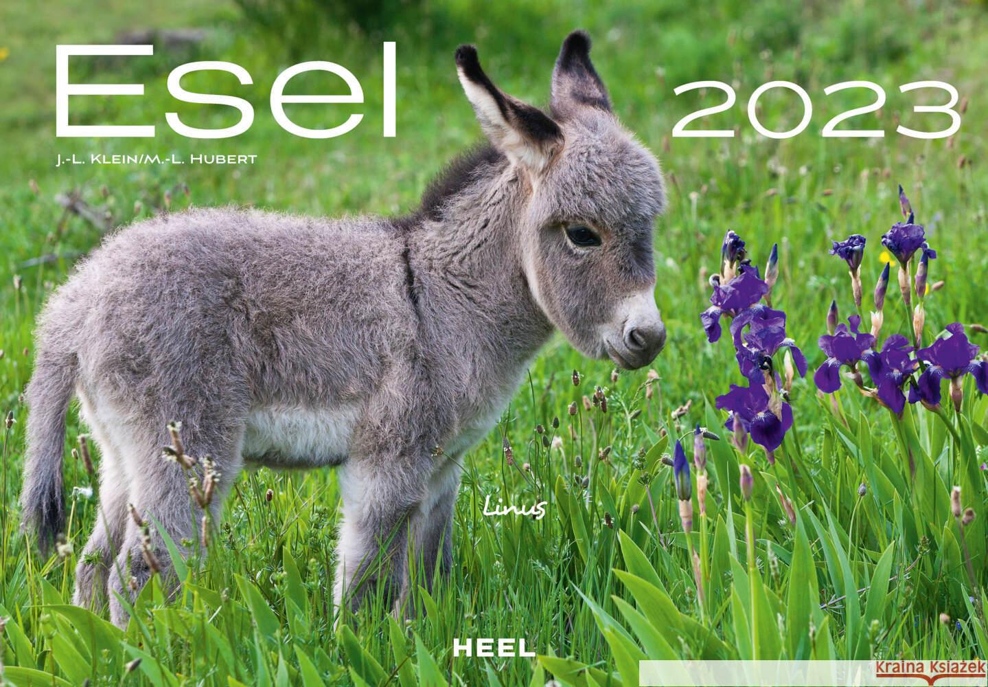 Esel 2023  9783966644587 Heel Verlag - książka