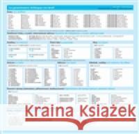 Česká gramatika v kostce LÃ­da HolÃ¡ 9788074700187 Akropolis - książka