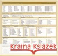 Česká gramatika v kostce - španělská Lída Holá 9788087481585 Akropolis - książka