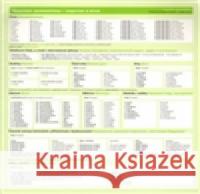 Česká gramatika v kostce - ruská Lída Holá 9788087481127 Akropolis - książka