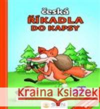 Česká říkadla do kapsy  9788076874091 Sun - książka