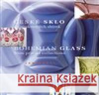 České sklo ze soukromých sbírek Jan Mergl 9788027043743 SKYWAY - książka