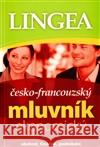 Česko-francouzský ekonomický mluvník  9788087062401 Lingea