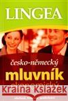 Česko-německý ekonomický mluvník  9788087062418 Lingea