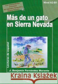 Espańol 2 Mas de un gato en Sierra Nevada WAGROS Morante Fernandez J. Benjamin 9788387388744 Wagros - książka