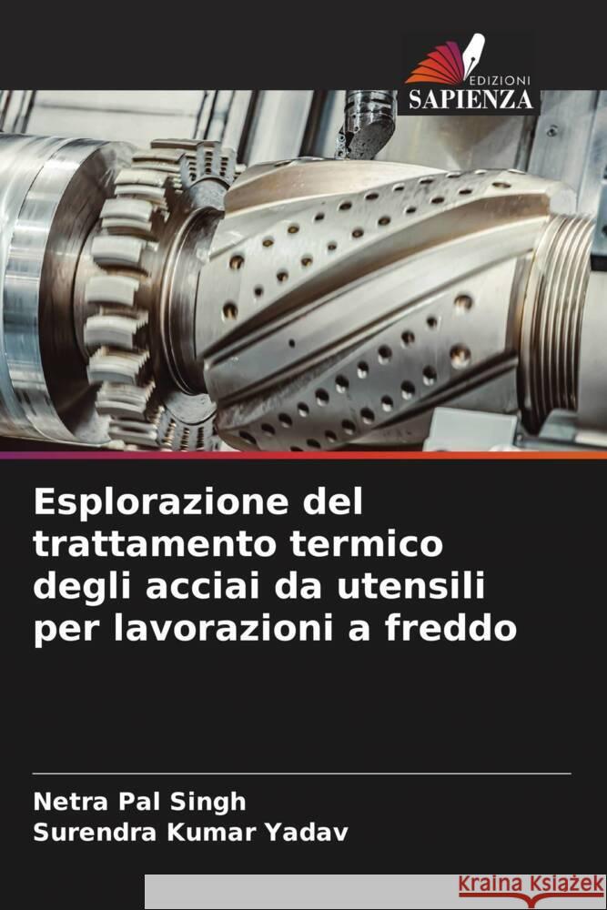 Esplorazione del trattamento termico degli acciai da utensili per lavorazioni a freddo Netra Pal Singh Surendra Kumar Yadav 9786206914013 Edizioni Sapienza - książka